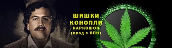 ГАЛЛЮЦИНОГЕННЫЕ ГРИБЫ Баксан