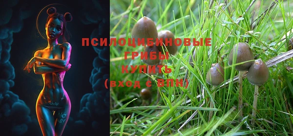 ПСИЛОЦИБИНОВЫЕ ГРИБЫ Балахна