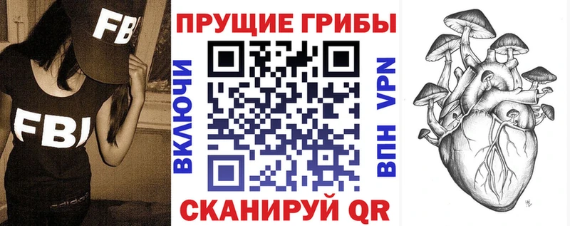 Псилоцибиновые грибы Psilocybine cubensis  купить закладку  Красноуфимск 